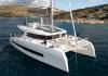 Cervetti 44 2024
